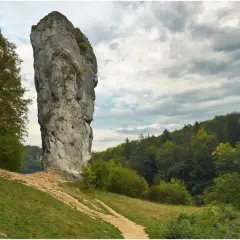 Maczuga Herkulesa, wysoka skała wapienna, góruje nad zielonym zboczem i lasem. Gdzie jest? W Ojcowskim Parku Narodowym.