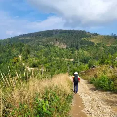 Wędrowiec na szlaku z Jaworek na Radziejową, wśród zielonych lasów i traw.
