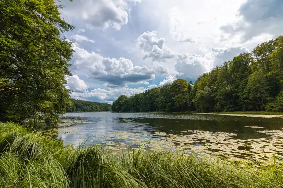 Park Krajobrazowy Pojezierza Drawskiego – co zobaczyć?